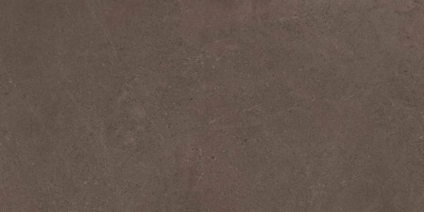 Керамогранит Gobi Brown Grey 600x1200 неполированный ректификат GO03