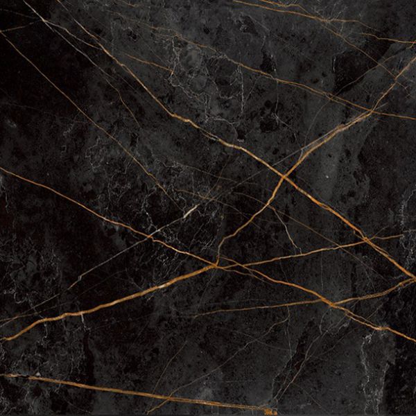 Керамогранит Sandra (Сандра) 600x600 черно-оливковый MR