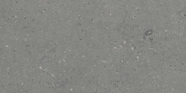 Керамогранит Аркаим (Arkaim) 600x1200 матовый серый G213MR
