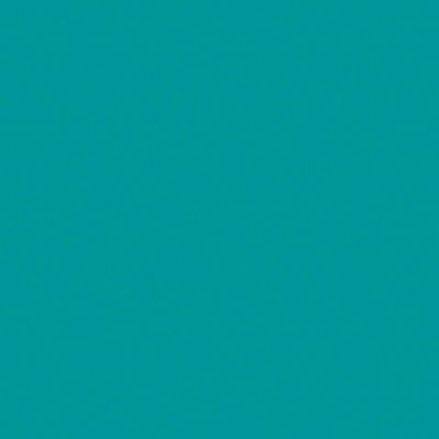 ΠΠΈΠ½ΠΎΠ»Π΅ΡΠΌ TARKETT OMNISPORT ACTION 65 Teal 6,5ΠΌΠΌ/0,7ΠΌΠΌ ΡΠΏΠΎΡΡΠΈΠ²Π½ΡΠΉ, ΠΠ2 ΠΠΈΠ½ΠΎΠ»Π΅ΡΠΌ TARKETT OMNISPORT ACTION 65 Teal 6,5ΠΌΠΌ/0,7ΠΌΠΌ ΡΠΏΠΎΡΡΠΈΠ²Π½ΡΠΉ, ΠΠ2