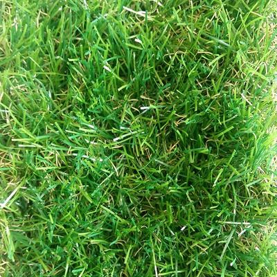Искусственная трава TROPICANA 35мм/2м