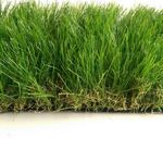 Искусственная трава TROPICANA 50мм/2м