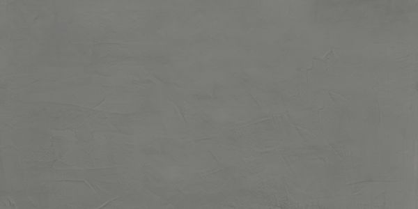 Керамогранит Artcolor Silver 600x1200 digi matt серый ENMON8024DM60120